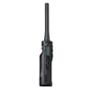 Sphere DP-17 DMR