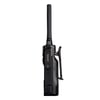 Sphere X5 DMR